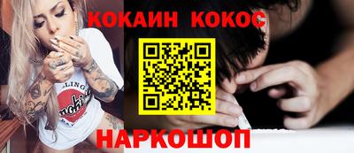 крисы Новокубанск