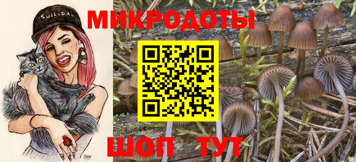 Псилоцибиновые грибы мицелий Тверь